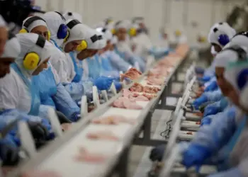 Exportação de miúdos gera oportunidades para a pecuária brasileira