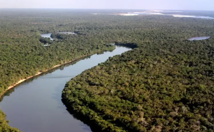 Por um planeta sem plástico: Dia Mundial do Meio Ambiente 2025 celebra a vida