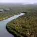 Por um planeta sem plástico: Dia Mundial do Meio Ambiente 2025 celebra a vida