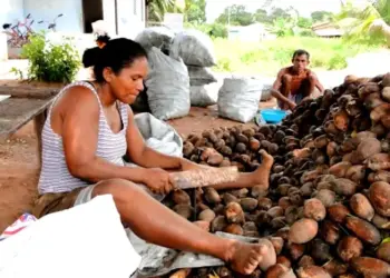 273 famílias do Extremo Norte do Tocantins passam a ter direitos com reconhecimento da Resex