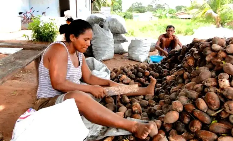 273 famílias do Extremo Norte do Tocantins passam a ter direitos com reconhecimento da Resex