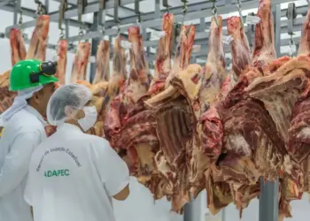 Frigorífico de Porto Nacional recebe selo de inspeção com equivalência nacional