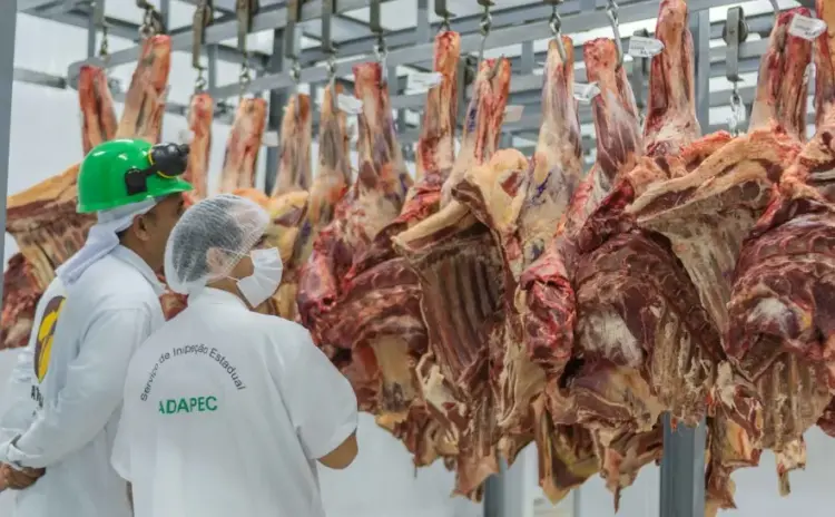Frigorífico de Porto Nacional recebe selo de inspeção com equivalência nacional