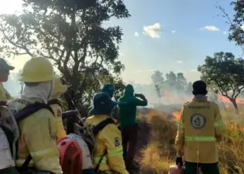 Parque Estadual do Cantão recebe ação de queima prescrita