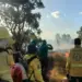 Parque Estadual do Cantão recebe ação de queima prescrita