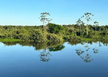 Plano de Manejo da APA Ilha do Bananal/Cantão será tema de Audiência Pública
