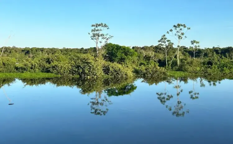 Plano de Manejo da APA Ilha do Bananal/Cantão será tema de Audiência Pública