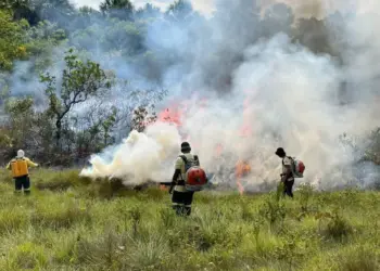 Manejo do fogo no Parque Estadual do Jalapão: visitação às Dunas será suspensa em 24 de junho