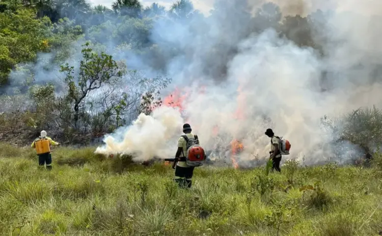 Manejo do fogo no Parque Estadual do Jalapão: visitação às Dunas será suspensa em 24 de junho
