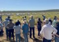 Rota da Pecuária inicia visitas técnicas com foco em integração e tecnologias no Vale do Araguaia