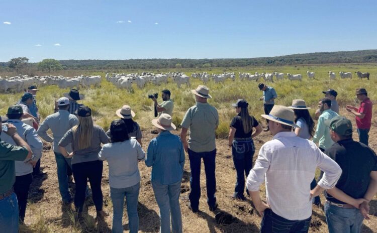 Rota da Pecuária inicia visitas técnicas com foco em integração e tecnologias no Vale do Araguaia