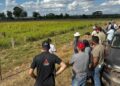 Rota da Pecuária termina com sucesso no norte do Tocantins, destacando inovação e sustentabilidade na bovinocultura