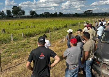 Rota da Pecuária termina com sucesso no norte do Tocantins, destacando inovação e sustentabilidade na bovinocultura