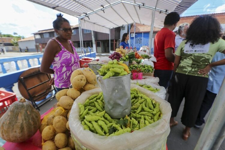 Plano Safra 25/26 fortalece agricultura familiar com investimento de R$ 78,2 bilhões