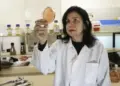 Com insumos biológicos, Mariangela Hungria vence ‘Nobel da Agricultura’ e impulsiona sustentabilidade”