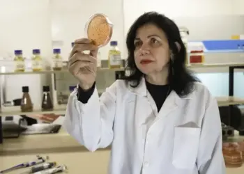 Com insumos biológicos, Mariangela Hungria vence ‘Nobel da Agricultura’ e impulsiona sustentabilidade”
