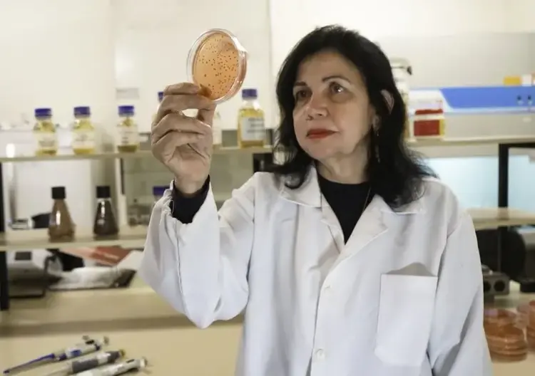 Com insumos biológicos, Mariangela Hungria vence ‘Nobel da Agricultura’ e impulsiona sustentabilidade”