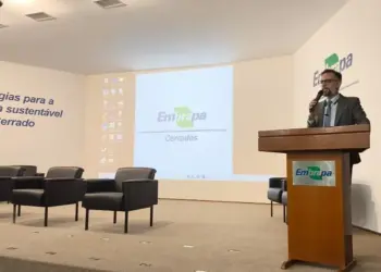 Diálogo entre Embrapa Cerrados e ministérios busca integração entre pesquisa e políticas agropecuárias