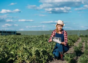 Agronegócio brasileiro atinge recorde de 28,5 milhões de trabalhadores e consórcio ganha força como ferramenta de modernização no campo