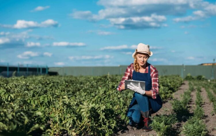 Agronegócio brasileiro atinge recorde de 28,5 milhões de trabalhadores e consórcio ganha força como ferramenta de modernização no campo