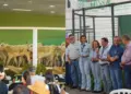 Pecuaristas celebram resultados de dois grandes leilões que movimentaram o Tocantins: Safra de Ouro e Nelore Tocantins