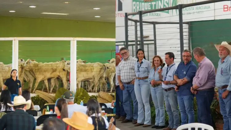 Pecuaristas celebram resultados de dois grandes leilões que movimentaram o Tocantins: Safra de Ouro e Nelore Tocantins
