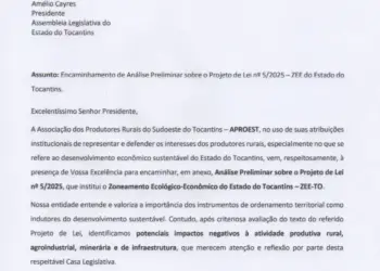 Frísia investe no cultivo de gergelim e projeta expansão na segunda safra tocantinense