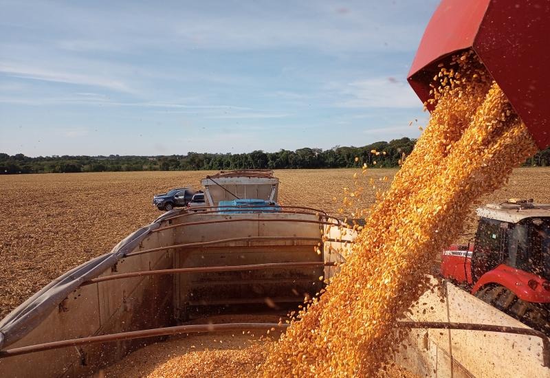 (Foto: Aprosoja Mato Grosso do Sul).