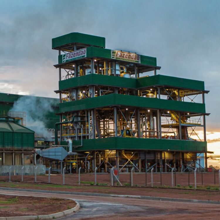 Fazendão Agronegócio obtém liminar contra Google por veiculação de fake news