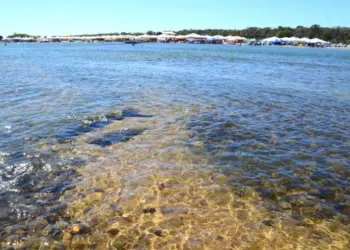 Sebrae leva capacitações a mais de 30 cidades para fortalecer negócios na temporada de praia