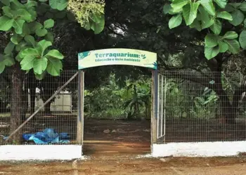 Ulbra Palmas promove Semana do Meio Ambiente com foco no Cerrado e na conscientização ecológica