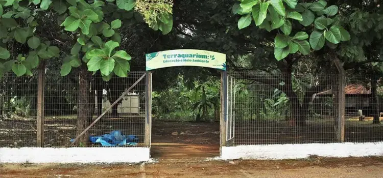 Ulbra Palmas promove Semana do Meio Ambiente com foco no Cerrado e na conscientização ecológica