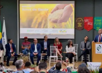 R$ 17 milhões são destinados ao fortalecimento do programa Arroz da Gente