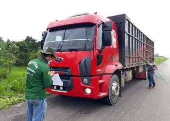 Transporte de gado entre zonas livres de aftosa sem vacinação é autorizado pelo Mapa