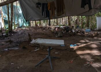 Internet via Starlink será monitorada no Tocantins como ferramenta contra crimes ambientais