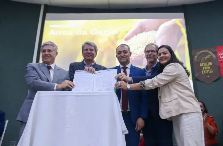 Programa Arroz da Gente é lançado para fortalecer a produção de arroz no país