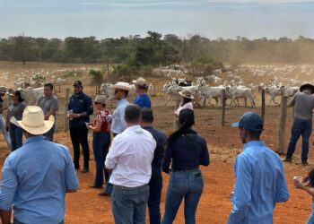 Rota da Pecuária desembarca no sul do Tocantins com tecnologias e experiências para produtores