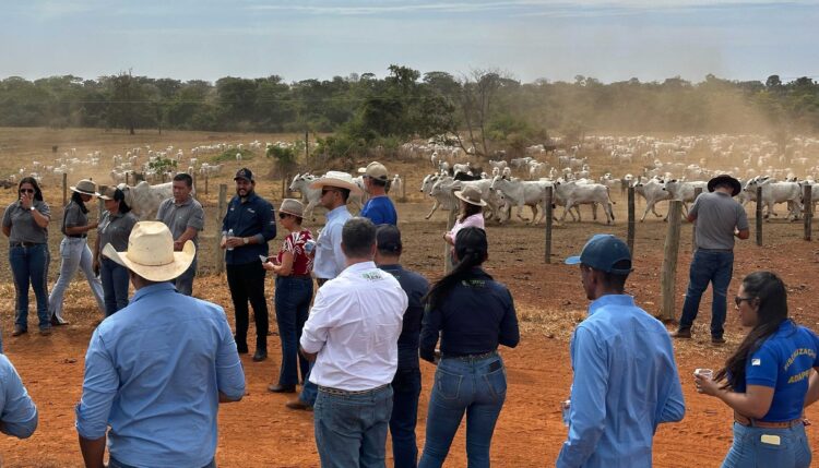 Rota da Pecuária desembarca no sul do Tocantins com tecnologias e experiências para produtores