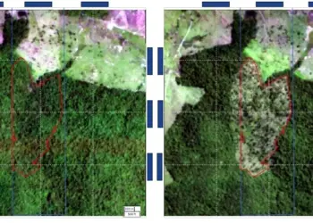 BNDES barra R$ 44,8 milhões em crédito rural no Tocantins por suspeita de desmatamento ilegal