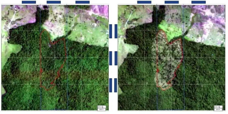 BNDES barra R$ 44,8 milhões em crédito rural no Tocantins por suspeita de desmatamento ilegal