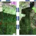 BNDES barra R$ 44,8 milhões em crédito rural no Tocantins por suspeita de desmatamento ilegal