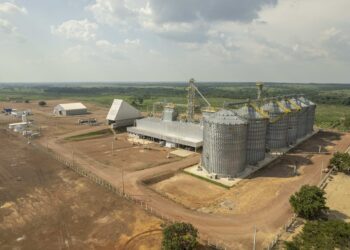 Frísia completa nove anos de atuação no Tocantins com expansão e fortalecimento do cooperativismo