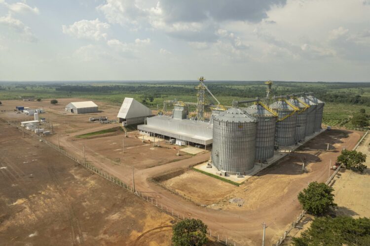 Frísia completa nove anos de atuação no Tocantins com expansão e fortalecimento do cooperativismo