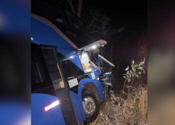 Ônibus sai da pista após carreta com restos de gado tombar na TO-134