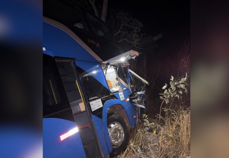 Ônibus sai da pista após carreta com restos de gado tombar na TO-134