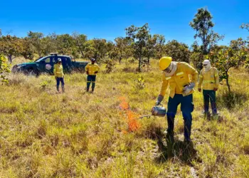 Fortalecimento de parceria marca intercâmbio sobre Manejo Integrado do Fogo no Tocantins