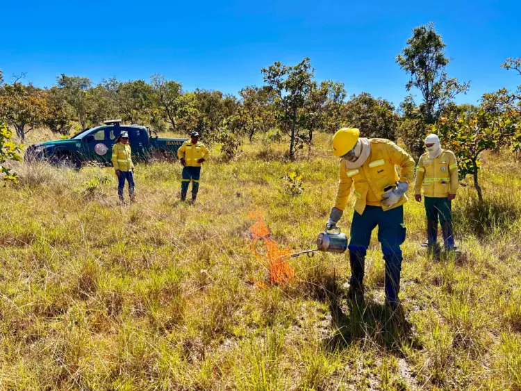 Fortalecimento de parceria marca intercâmbio sobre Manejo Integrado do Fogo no Tocantins