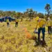 Fortalecimento de parceria marca intercâmbio sobre Manejo Integrado do Fogo no Tocantins