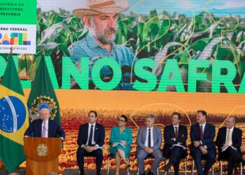 Plano Safra 2025/2026: anúncio será em 30 de junho, mas setor teme frustração no valor