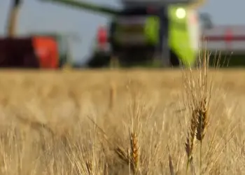 Reforma Tributária pode prejudicar médios e grandes produtores rurais